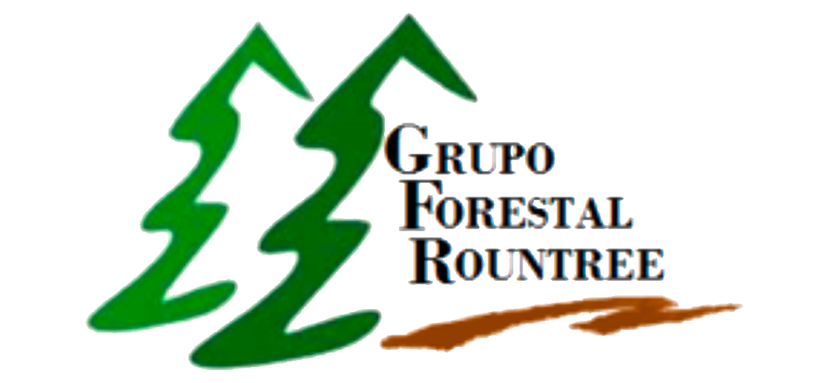 Grupo Forestal Rountree-Grupo Forestal Rountree